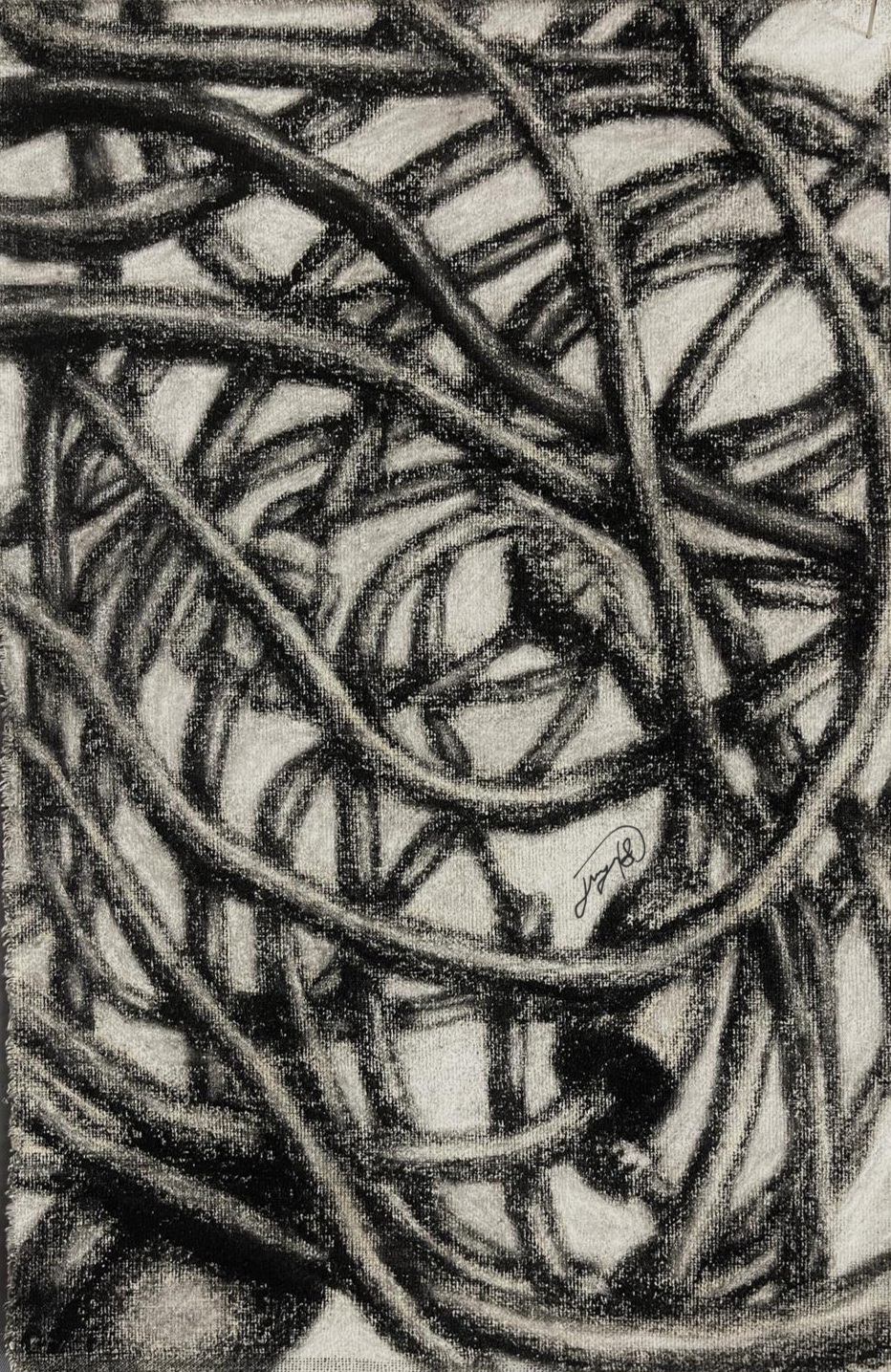 Tangled charcoal cables looping across canvas in dense overlapping curves.