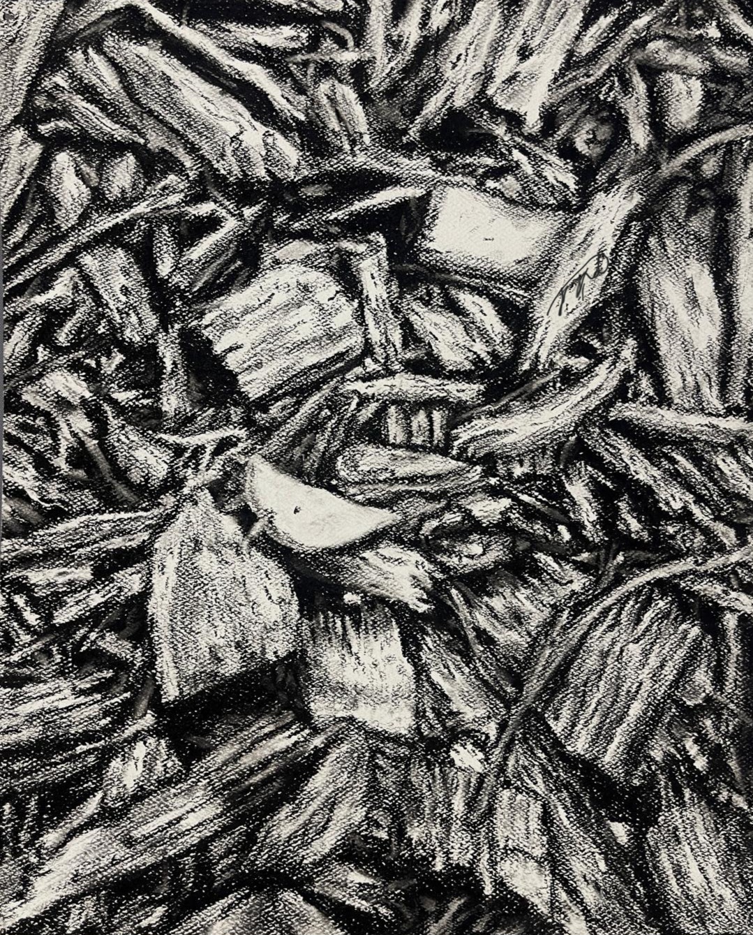 High-contrast charcoal field of interwoven branches and leaf-like forms packed across the surface.