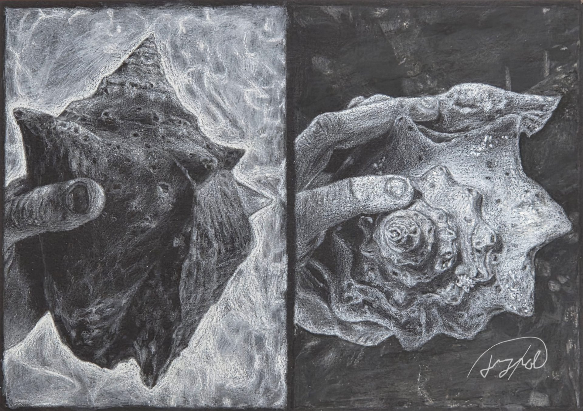 Diptych portrait with a darkened face on one side and a reflective double-figure composition on the other.