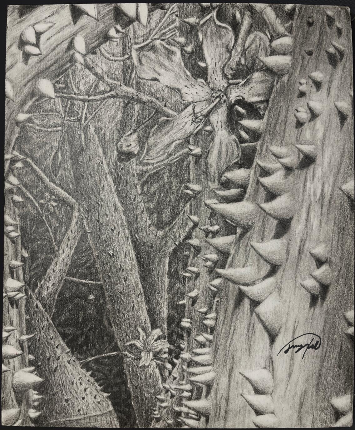 Dense monochrome drawing of thorny trunks, layered branches, and a moth suspended in the scene.