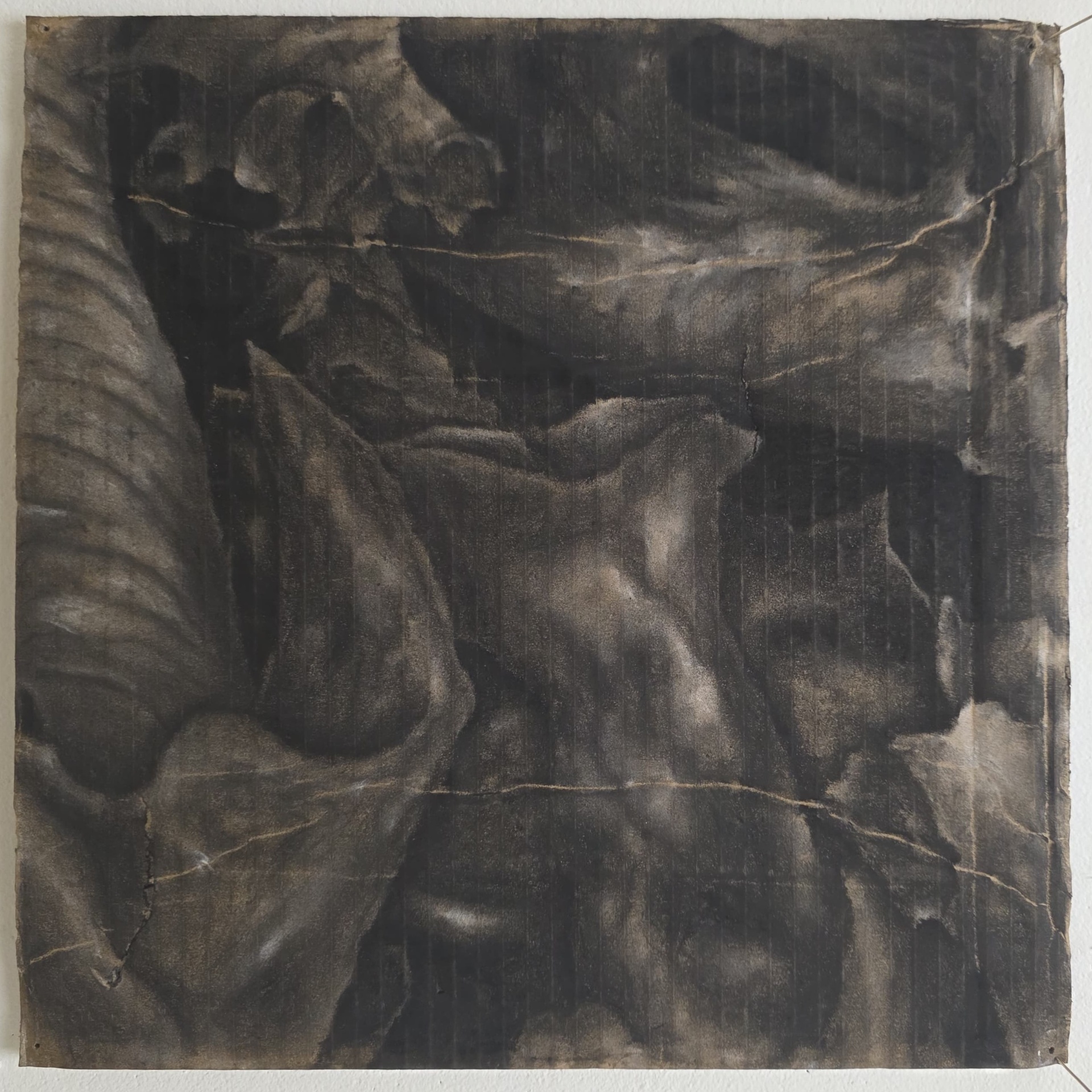 Dark charcoal composition with layered organic forms and cracked lines across the surface.